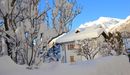Ski resort